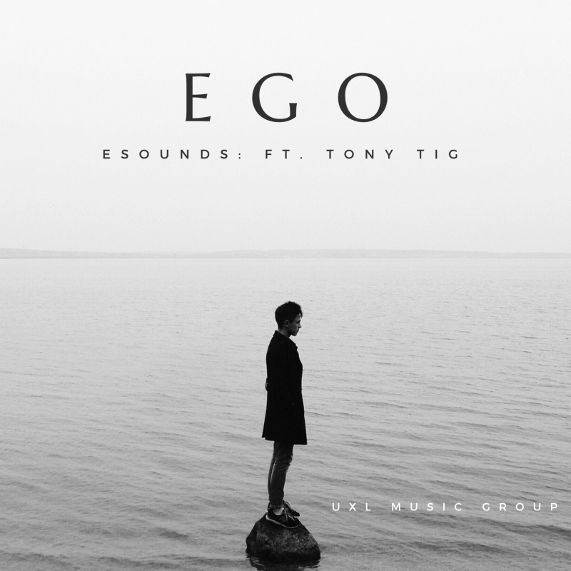 Ego artwork